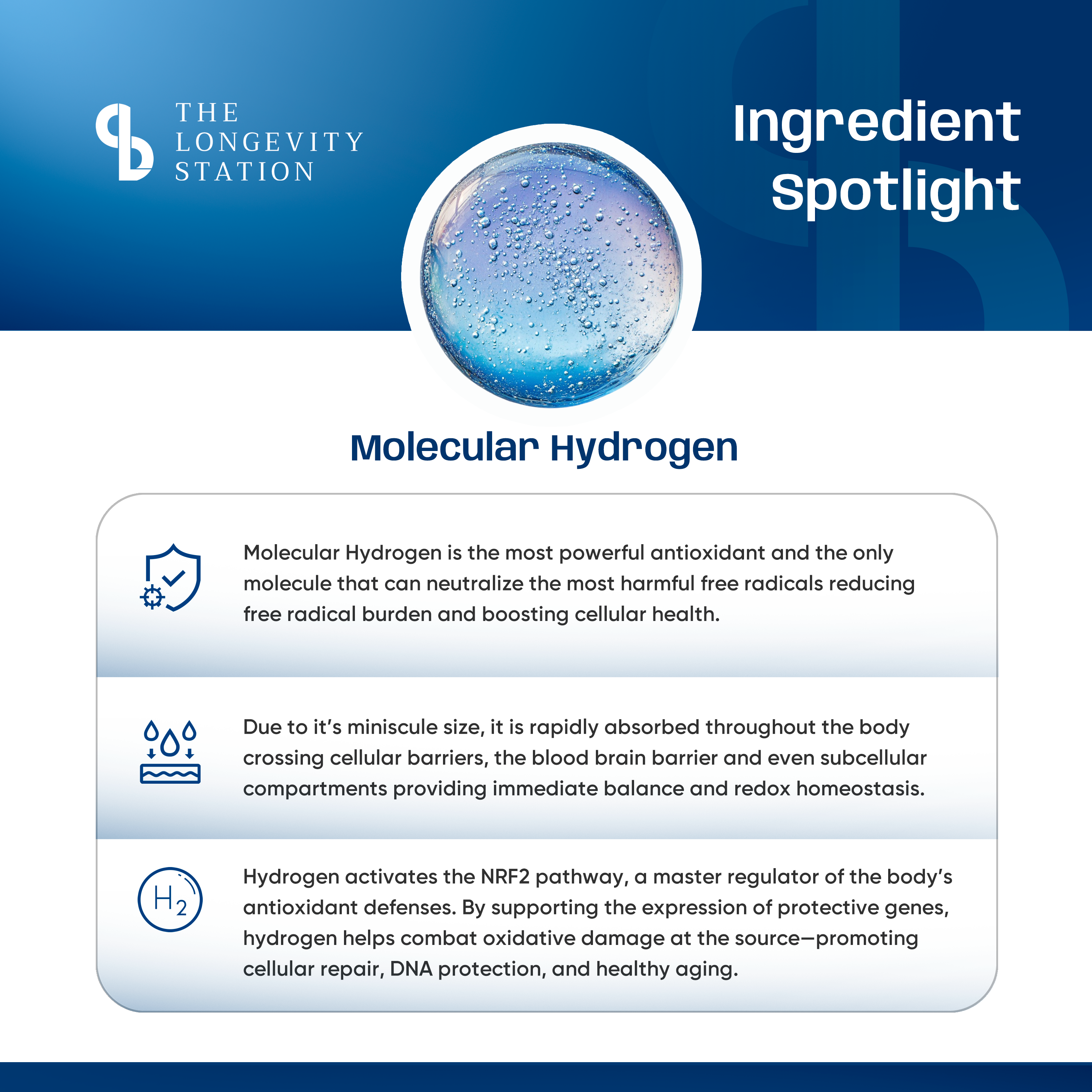 Longevity Ultimate Hydrogen Bottle