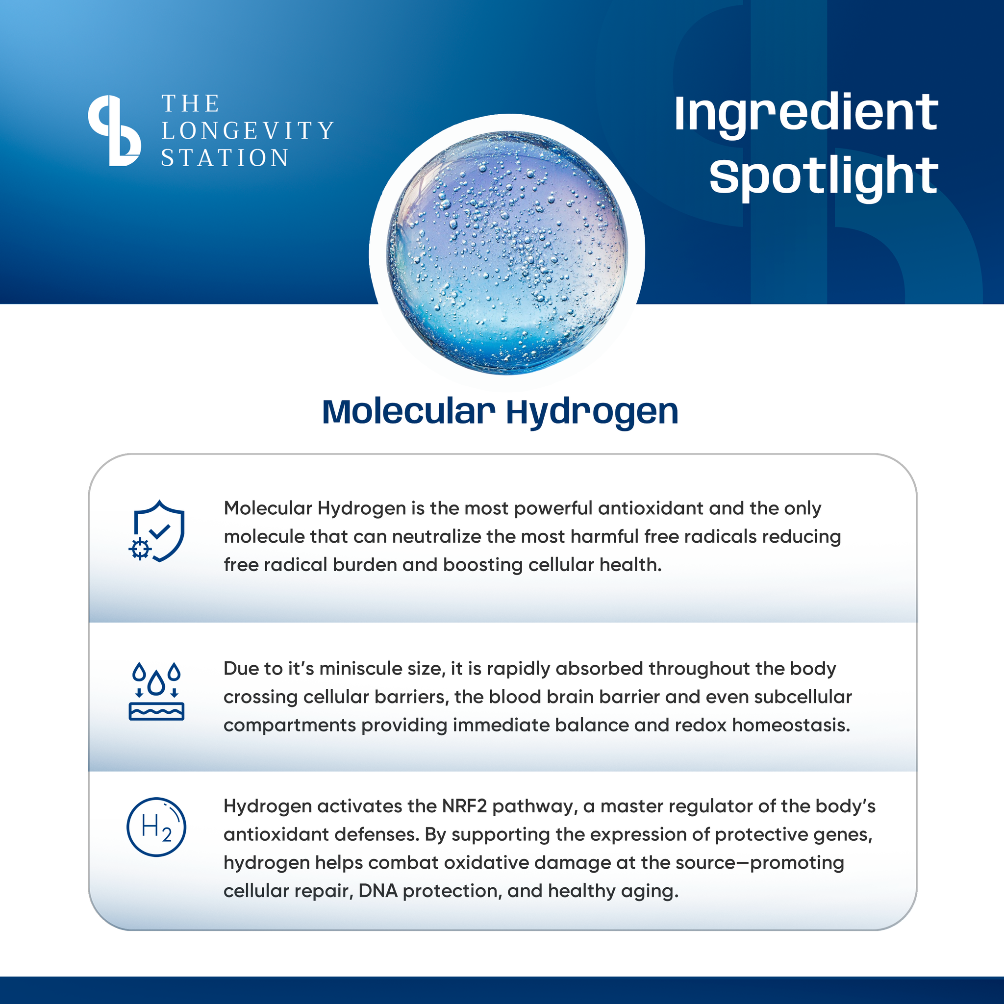Longevity Ultimate Hydrogen Bottle